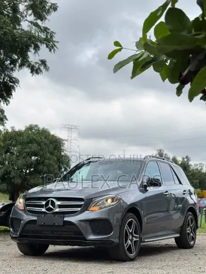 Mercedes-Benz GLE-Class GLE 350 2017 Gray
