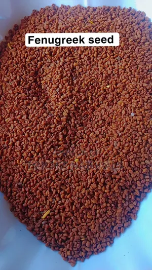 Fenugreek Seeds 100g– Natural Fenugreek Seeds for Blood Sugar Support