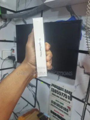 New Google Pixel 9 Pro 256 GB Gray