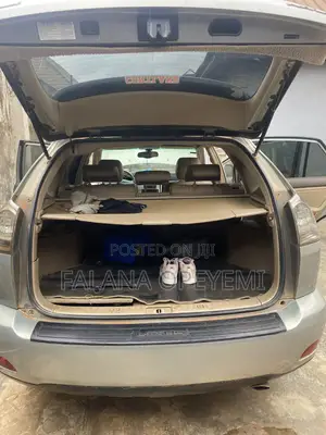 Lexus RX 330 2005 Gray