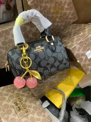 Affordable Coach Bag