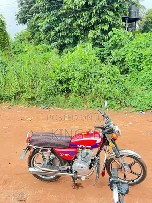 Motorcycle 2025 Red