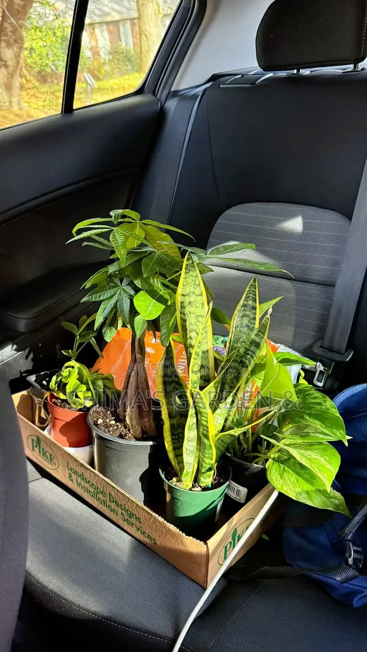 Planters Design