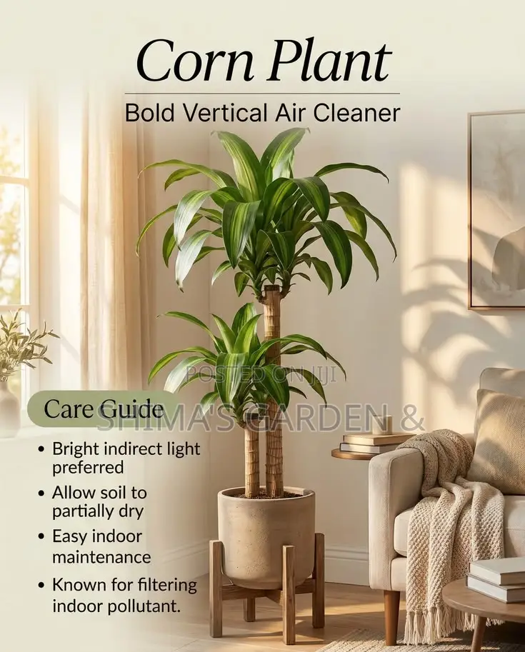 Planters Design