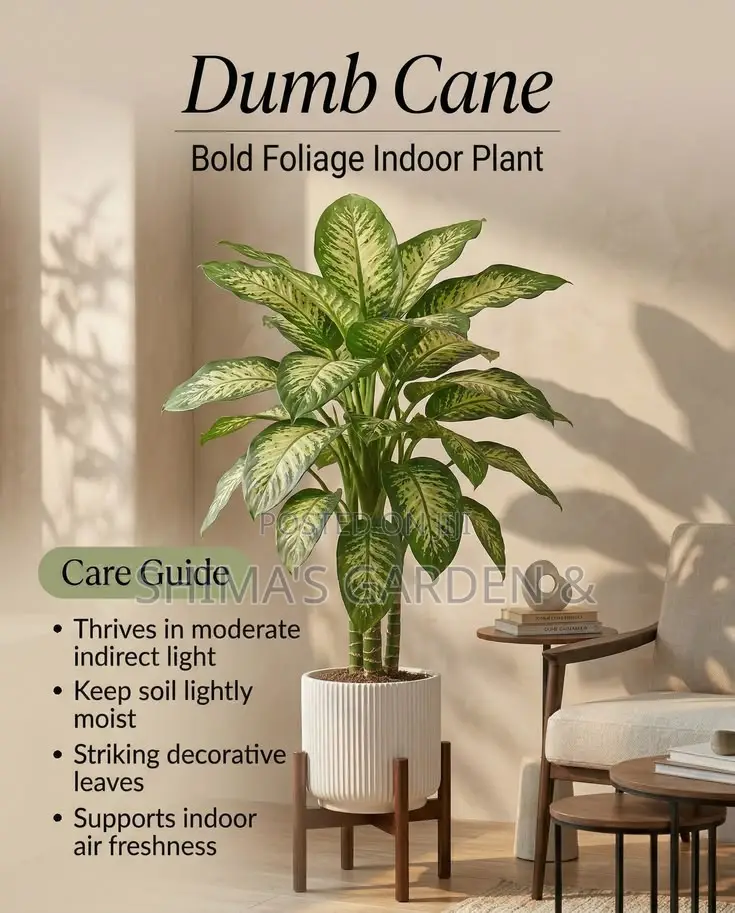 Planters Design