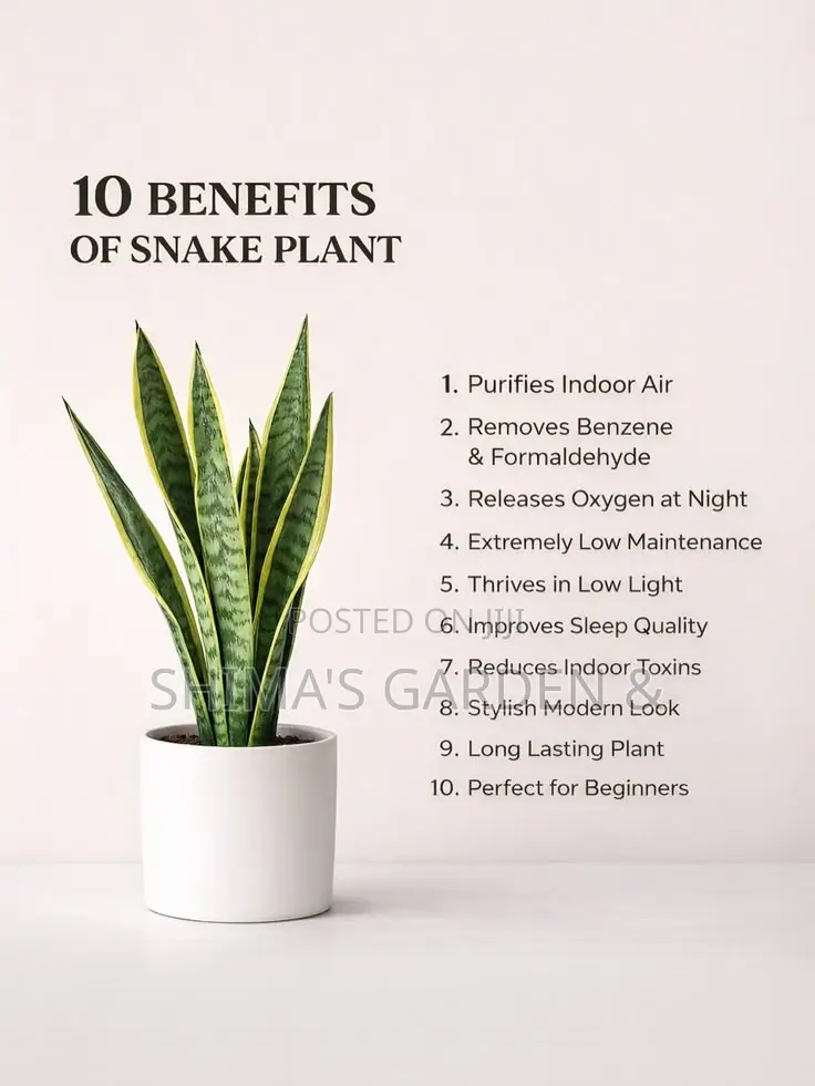 Planters Design