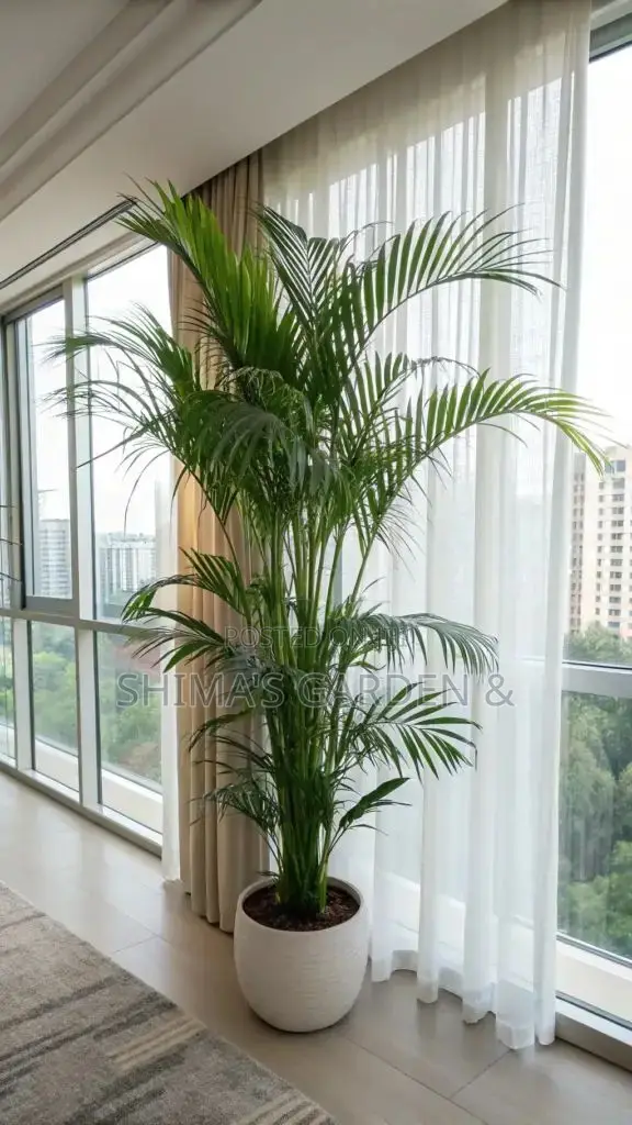 Planters Design