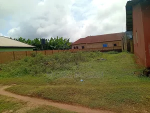 Urgent Property for Sale 50 by 100 Plot at Igiede Street Off Eriadiawa