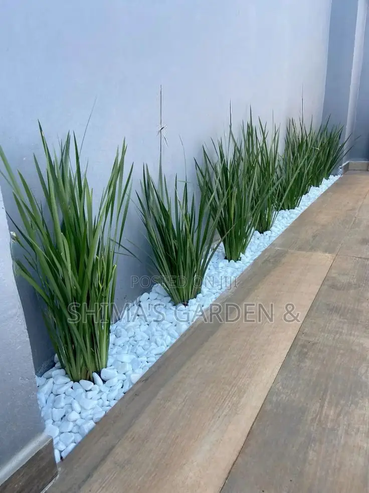 Planters Design