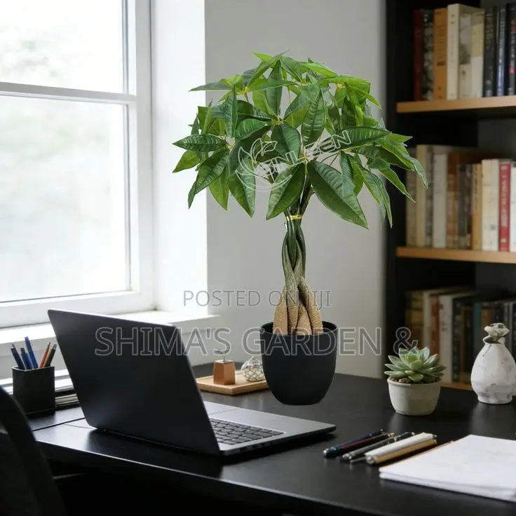 Planters Design