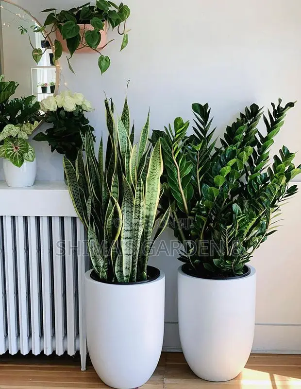 Planters Design
