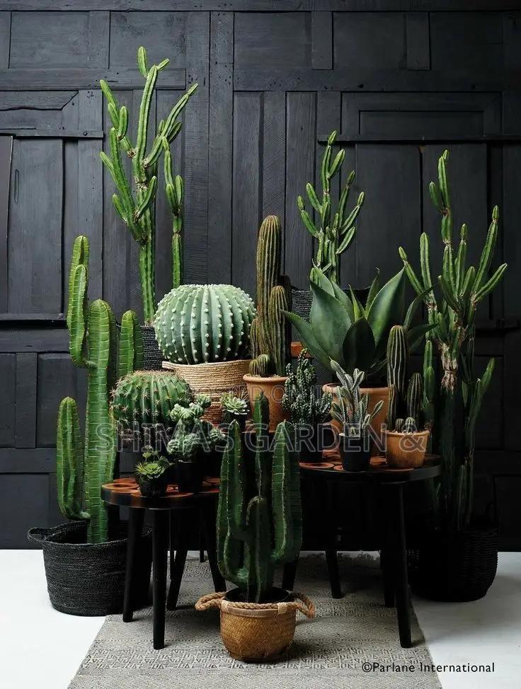 Planters Design