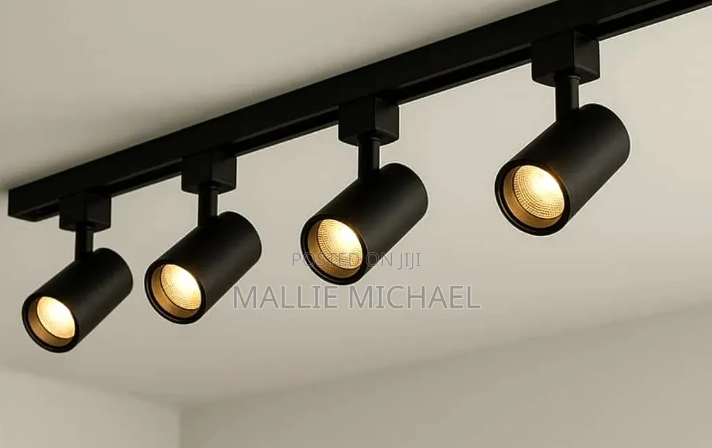 40 Watts Track Light