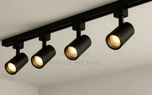 40 Watts Track Light