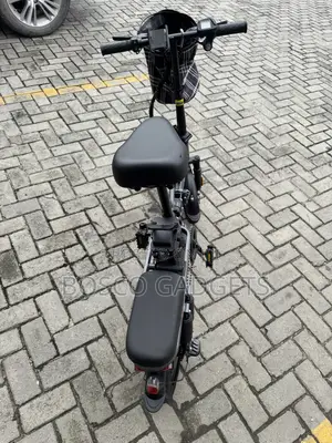 48V Foldable Portable Electric Bicycle