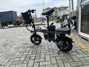 48V Foldable Portable Electric Bicycle