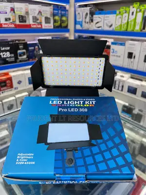 Pro LED 300 Professional Photo Video Light Kit