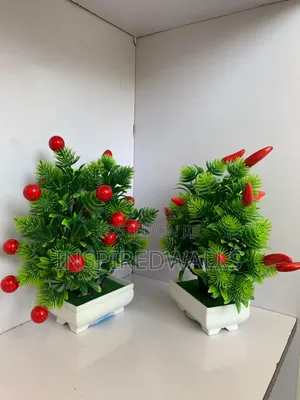 Cherry Shrub