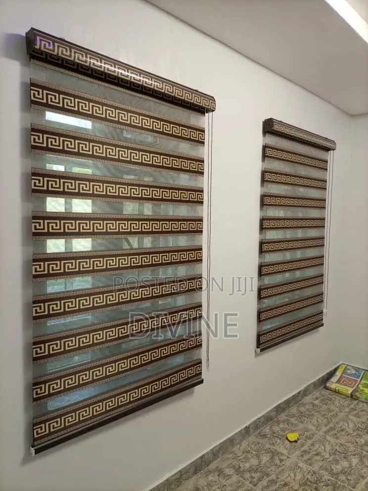Day Night Window Blinds