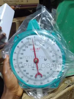 100kg Manual Hanging Scale