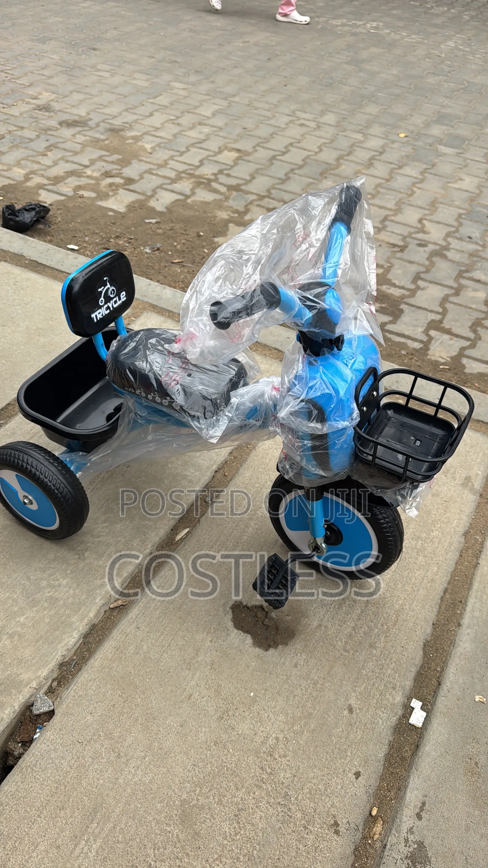 Modern Kids Tricycle