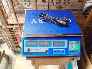 40kg Digital Pricing Scale