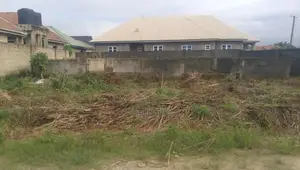 Half Plot of Land