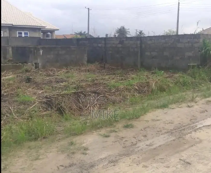 Half Plot of Land