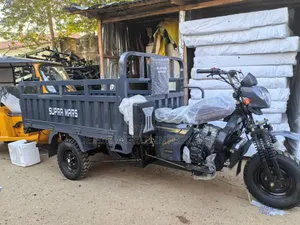 New Tricycle 2026 Blue