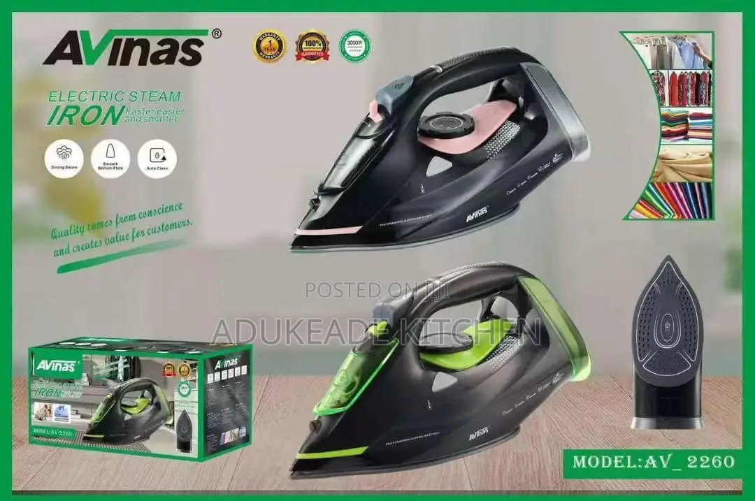 Electric Steam Iron