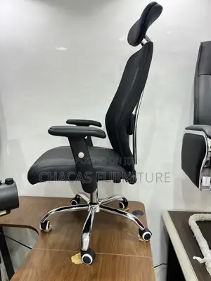 Executive High-Back Ergonomic Mesh Chair With Chrome Spine Support