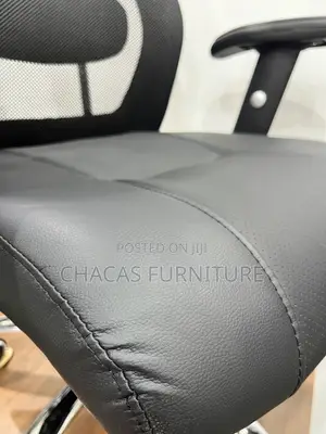 Executive High-Back Ergonomic Mesh Chair With Chrome Spine Support