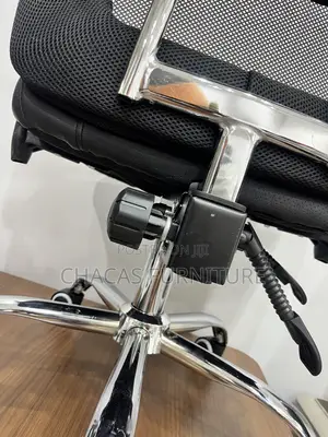 Executive High-Back Ergonomic Mesh Chair With Chrome Spine Support