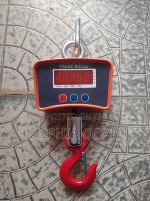 500kg Digital Hanging Scale