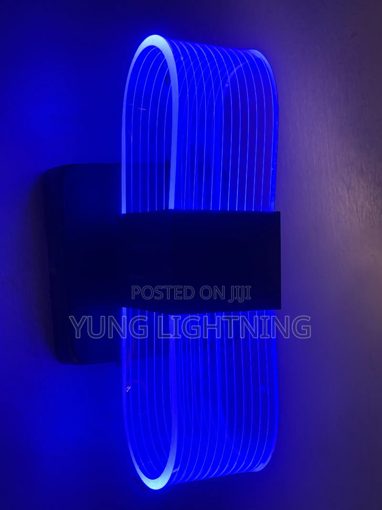 3 Color Modern Oval LED Wall Light Elegant Indoor Decorative Lamp