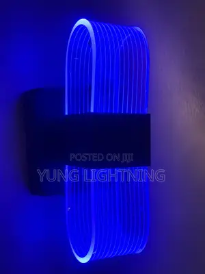 3 Color Modern Oval LED Wall Light Elegant Indoor Decorative Lamp
