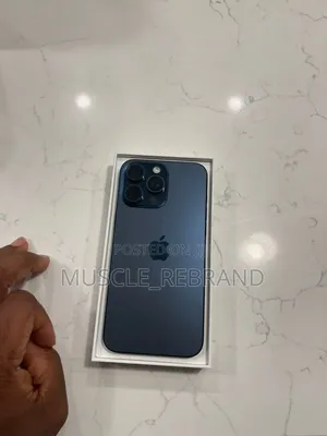 Apple iPhone 15 Pro Max 256 GB Gray