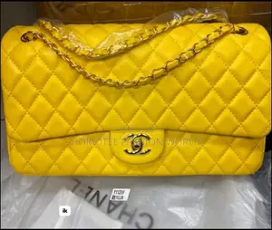 Chanel Luxury 2 in 1 Bag