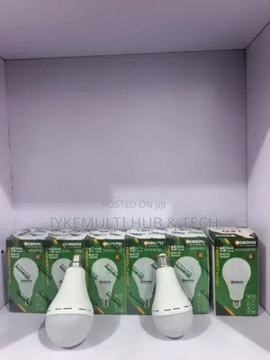 Energy Bulb