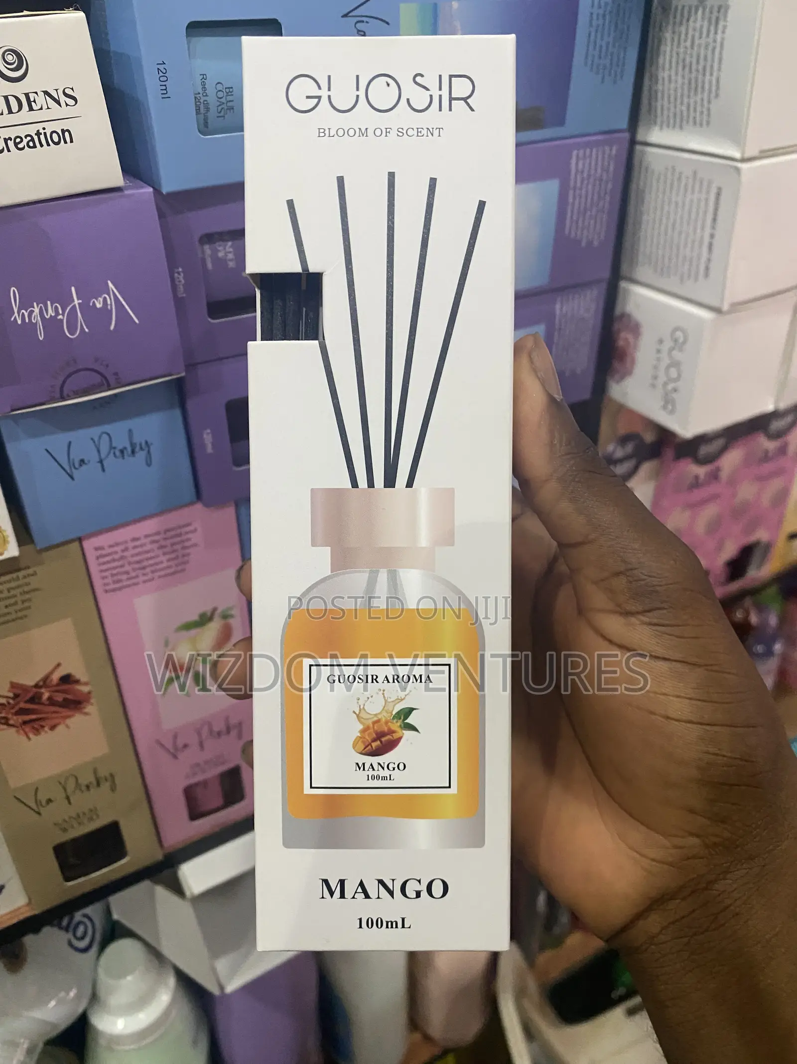 Guosir Reed Diffuser 100ml
