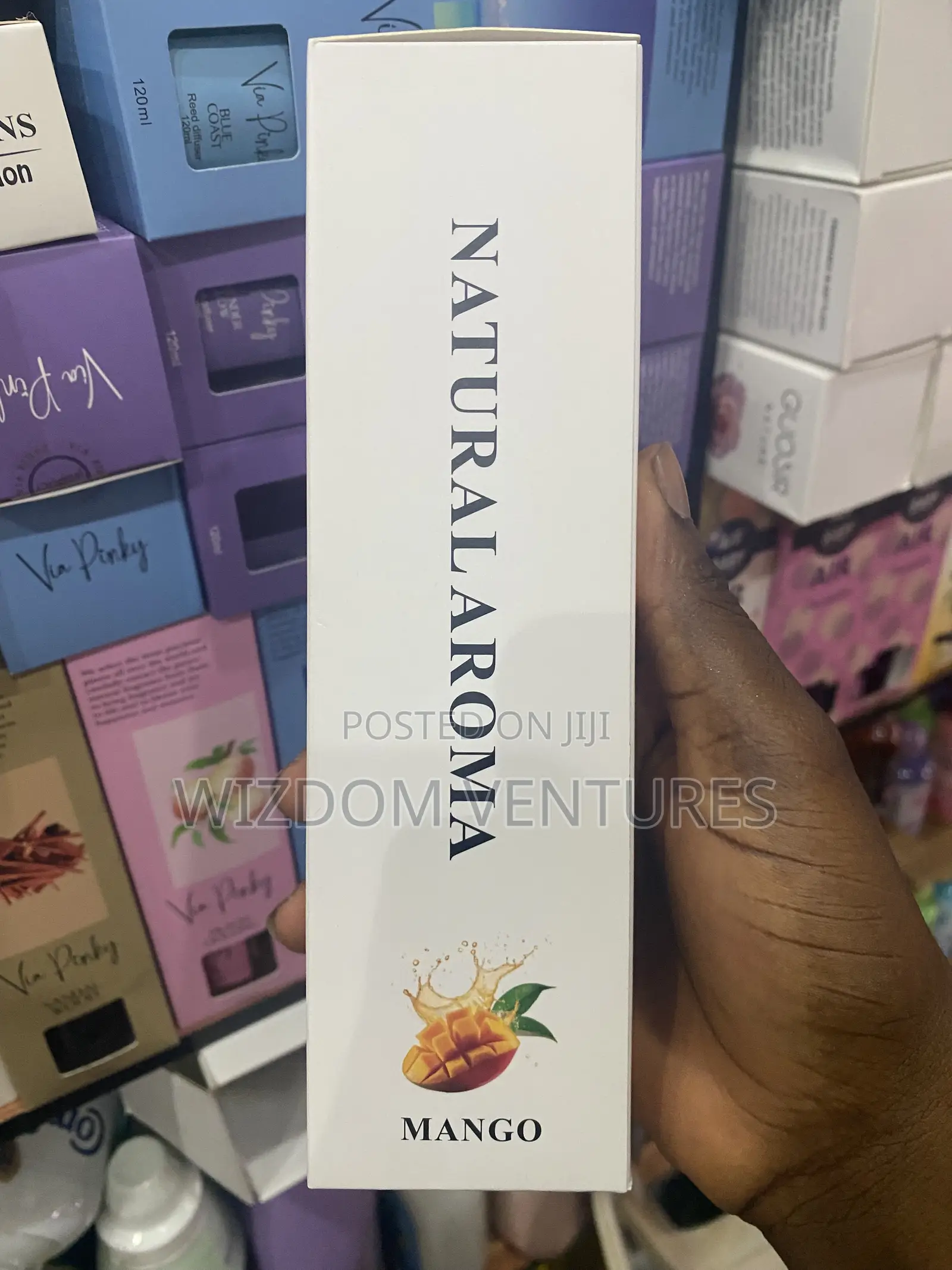 Guosir Reed Diffuser 100ml