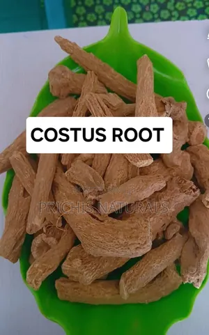 Costus Root 100g– Costus Root for Digestive Health, Immune Support