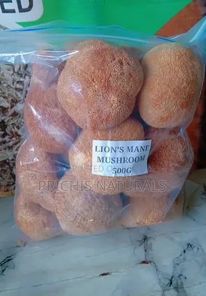 Lion's Mane Mushroom 100g–Lion's Mane Mushroom for Brain Health