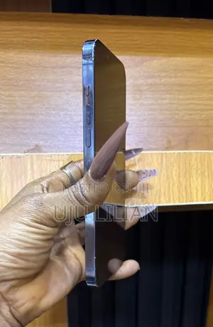 Apple iPhone 13 Pro Max 256 GB Blue