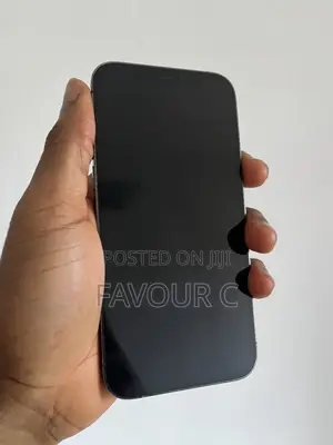 Apple iPhone 12 Pro 256 GB Black