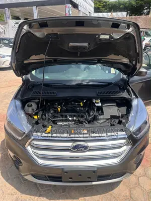 Ford Escape 2019 Gray