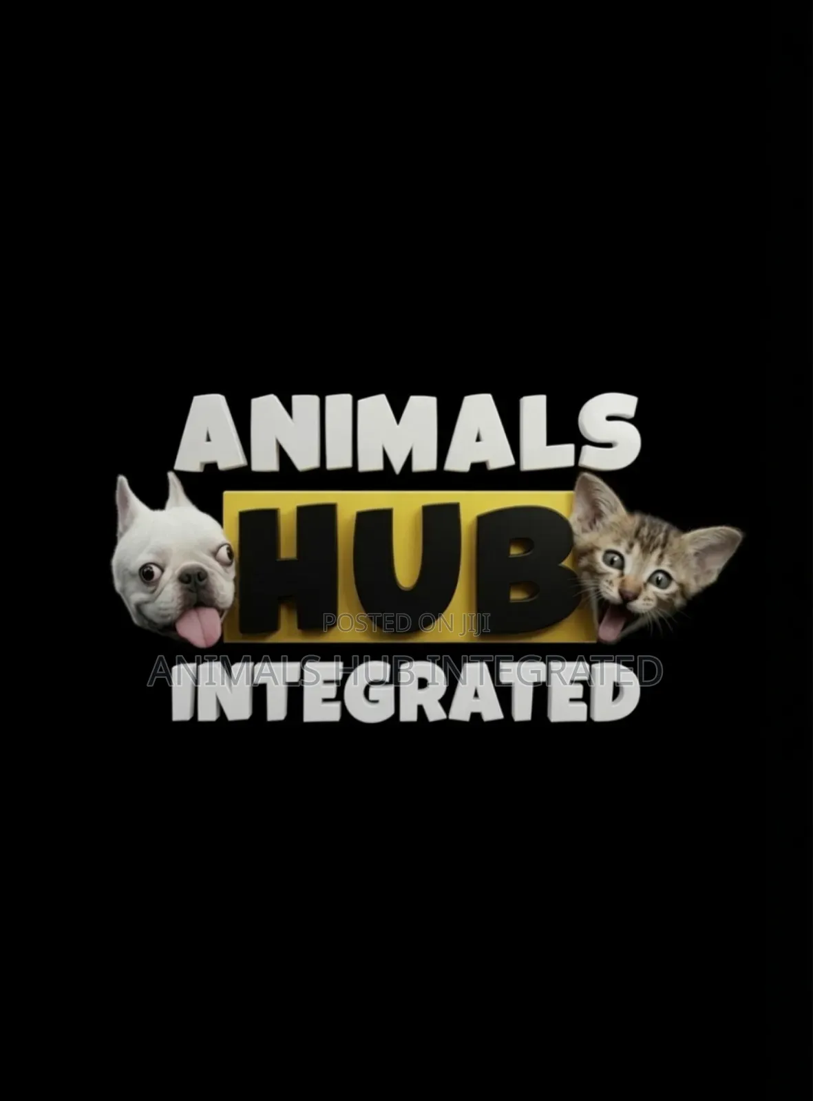 Animals HUB Veterinary Services