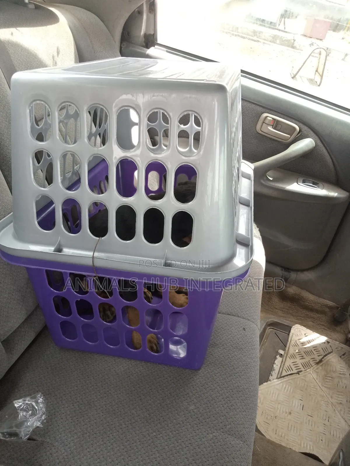 Animals HUB Veterinary Services