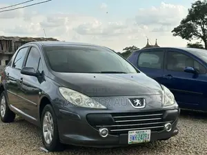 Peugeot 307 2.0 140 Tendance 2006 Gray