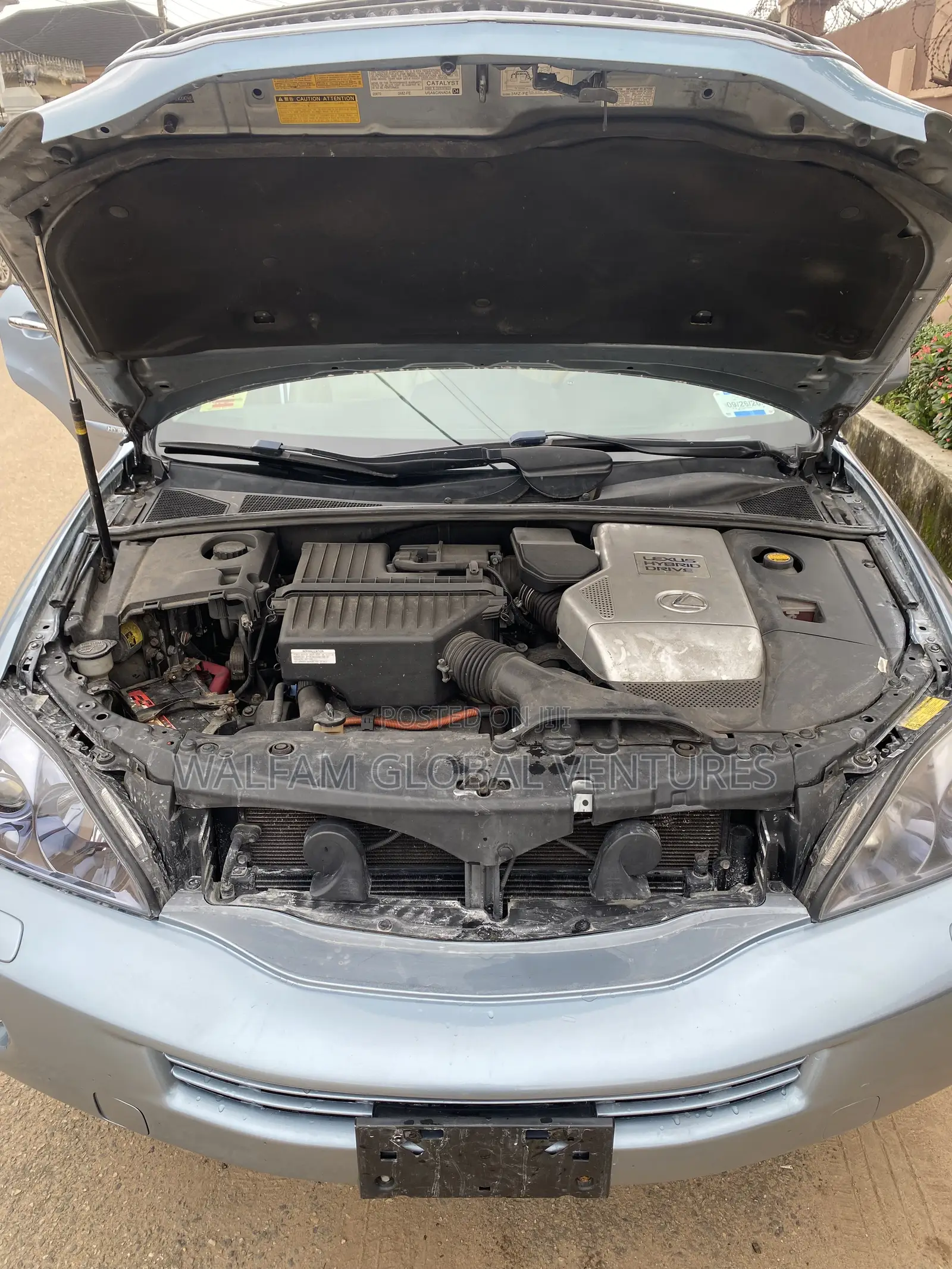 Lexus RX 2009 Blue